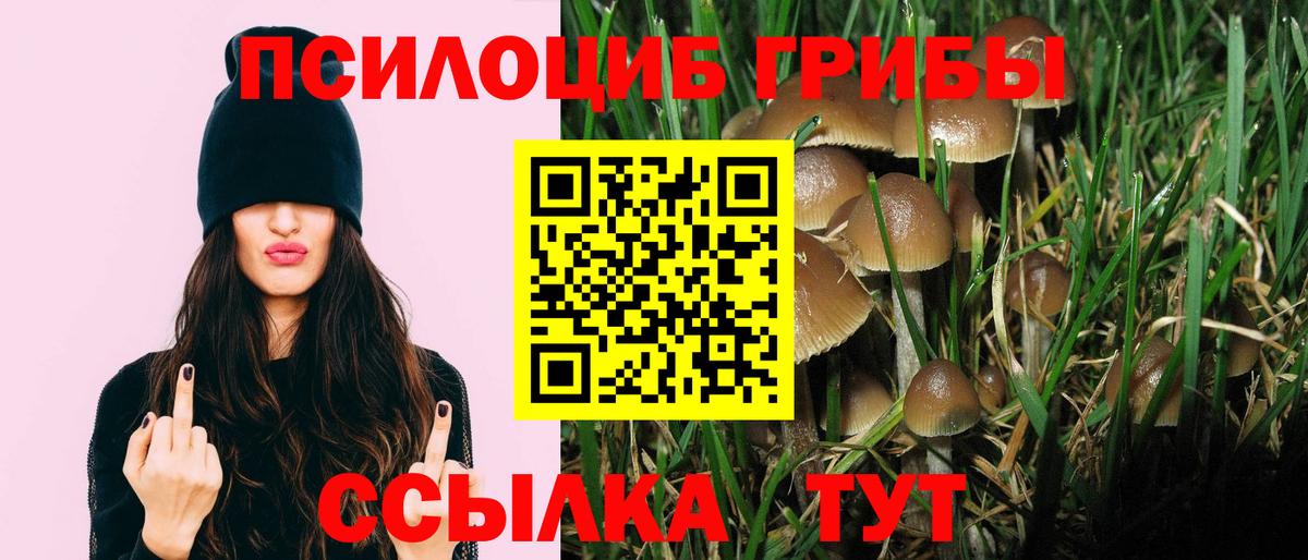 Краснодар  Галлюциногенные грибы ЛСД  Галлюциногенные грибы мицелий  Вход с VPN 